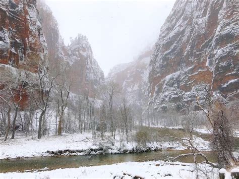 Zion National Park Winter Visit | Local Passport Family