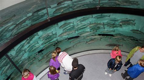 Salmon Center Gildeskål | Cultural Heritage | Inndyr | Norway