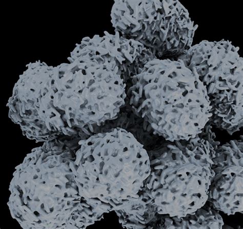 Image result for SoClean Air Purifier