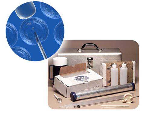 Poultry :: Chicken :: Broilers