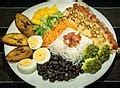 Image result for What Is Digital Technology