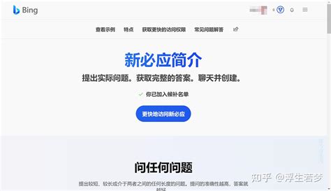 必应 AI 的图像结果