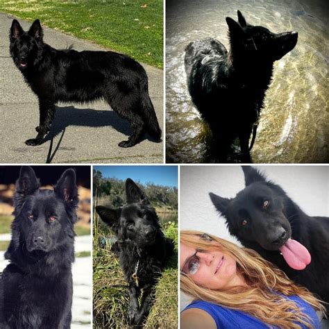 Arya x Yuno , 172 Rich Gulch Rd, Oroville, CA, 16 July to 22 July ...