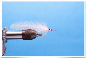 Snook Fly Patterns 的图像结果