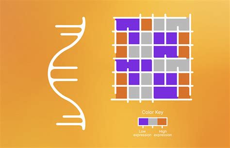 RNA-Seq vs Microarray 的图像结果