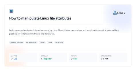 File Attributes Linux 的图像结果