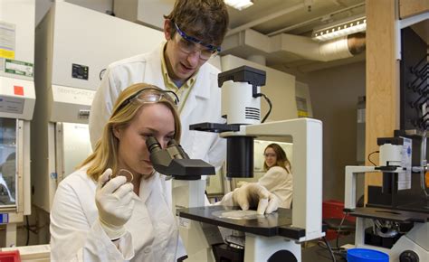 Image result for MIT Study