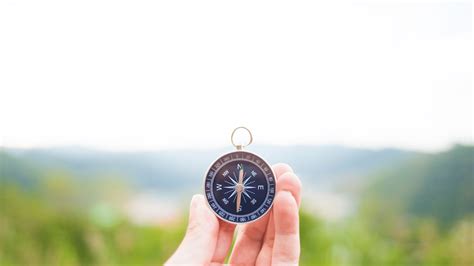 Image result for PPC for Beginners