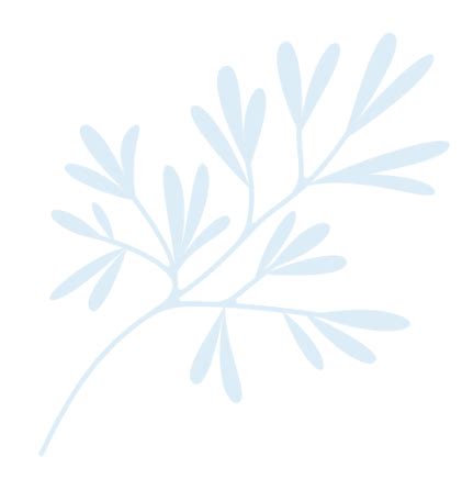 Image result for What Color Is Shell