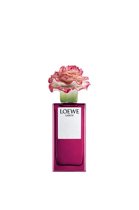 LOEWE Earth x LLADRÓ - LOEWE