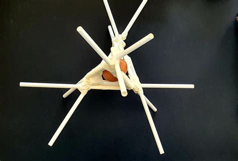 Egg Drop Project With Popsicle Sticks