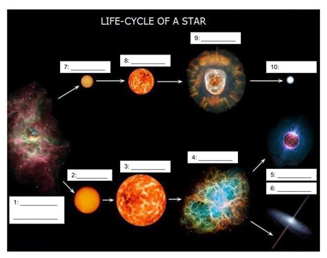 Life Cycle Of A Star Worksheet - Educational Printable Activities