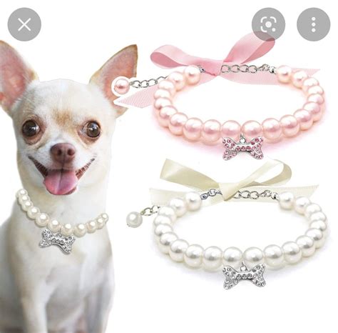 Pin by solangel romero on PERROS Y GATOS | Pearl dog collar, Pet ...