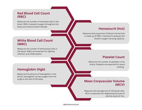 CBC Lab Panel 的图像结果