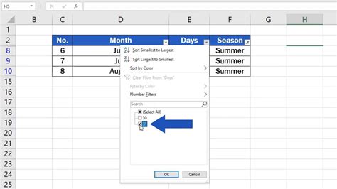 How to Make a Filter in Excel Column 的图像结果