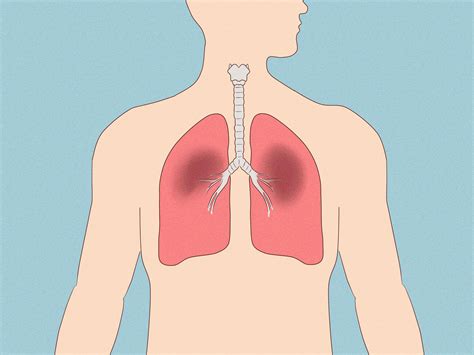 Making Dabs 的图像结果