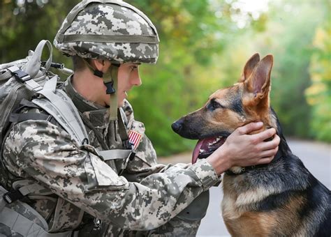 PetSmart Military Discount – A Special Way to Show Appreciation ...