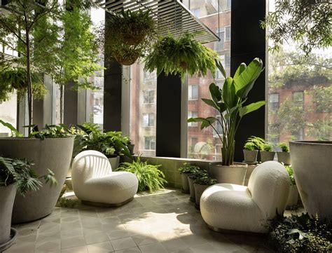 Commercial 的图像结果