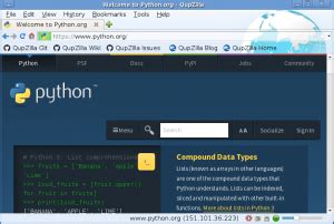 Image result for Python Webview