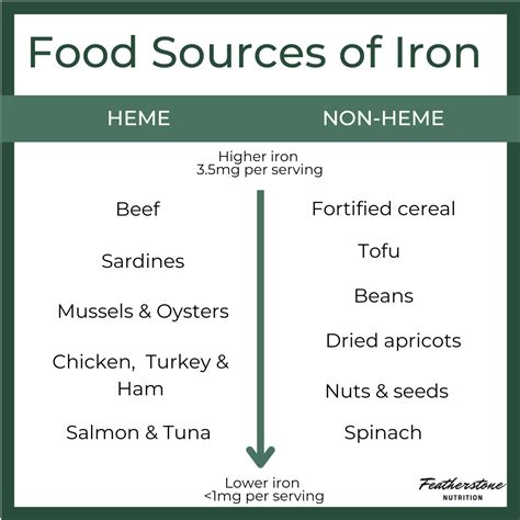 What Increases Ferritin Levels