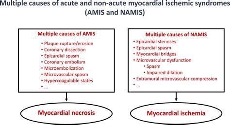 Myocardial Ischemic Syndromes: A New Nomenclature to Harmonize Evolving International Clinical ...