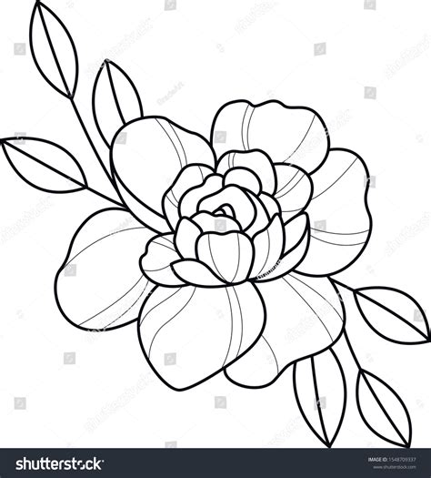 Flower Outline Images