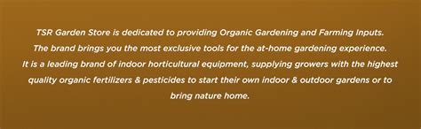 Buy TSR Home Decorz Lord Tirupati Balaji Face 16 inch, Sri Venkateswara ...