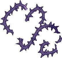 Image result for Complex Function Visualizer