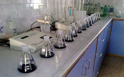 Image result for Lab Lab Kes