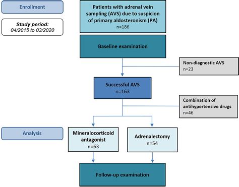 Contrast medium free selective adrenal vein sampling in the management of primary aldosteronism ...