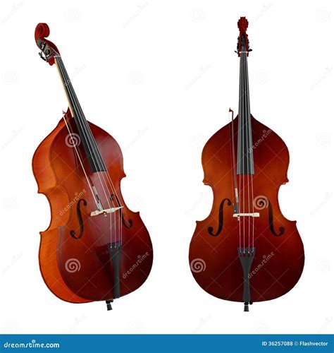 Contrabass,double Bass.Classical Music Instrument Royalty Free Stock ...