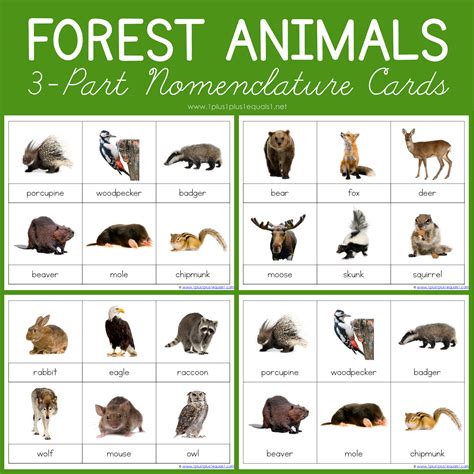 Free Woodland Animal Printables