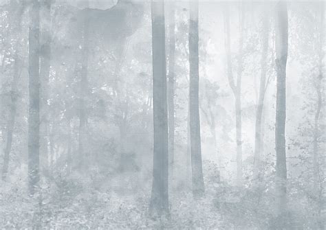 Black Woods, Blue Sky — Eowyn Ivey