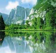 Image result for Free Screensavers Sunrise with Trees and Water