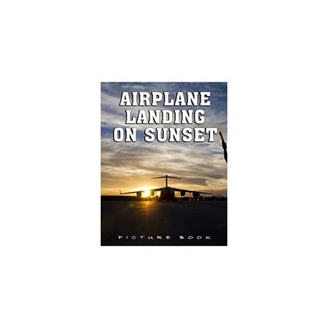 Buy Picture Of Airplane Landing On Sunset: A Great Gift With Compelling ...