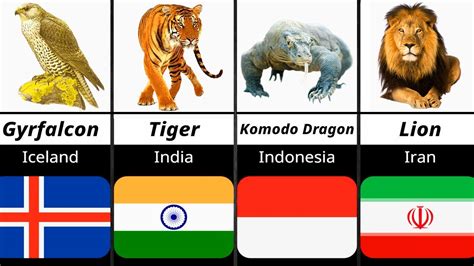 Image result for Animals On Button Moon