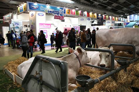 France's Danone in advanced talks to acquire US organic foods producer ...