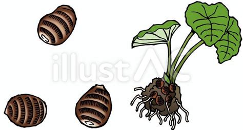 Image result for Alien Animal Simple