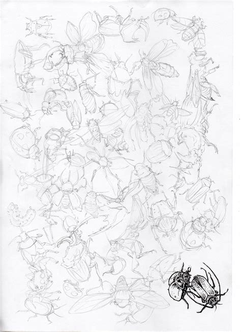 Image result for Insect Inside Review