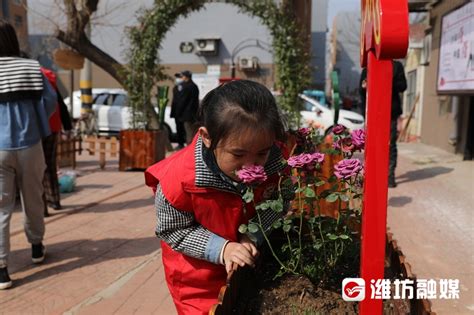 荆州市首次开通“水水直达、一箱到底”服务 - 荆州市交通运输局