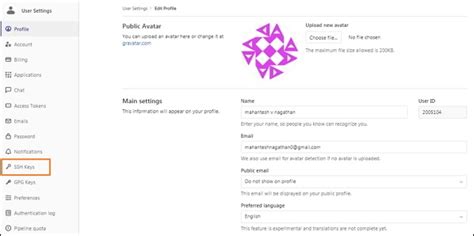 GitLab SSH Key Custom Instance 的图像结果