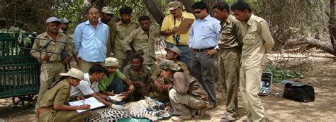 Department of Wildlife Sciences | AMU