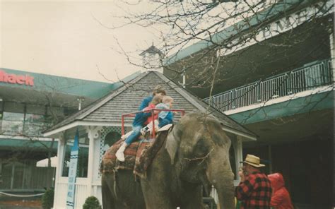 Share your memories of Shoppers World - Framingham History Center