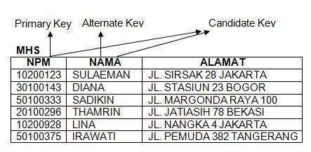Image result for Contoh Candidate Key