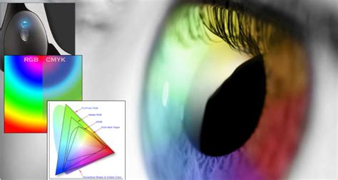 Image result for Color Management for Photographers