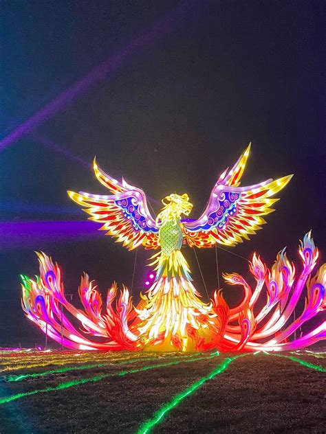 LIGHTOPIA MANCHESTER (2026) All You Need to Know BEFORE You Go (with ...