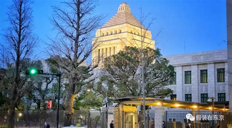 政治 的图像结果