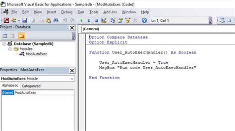 Image result for AutoExec Macro Access