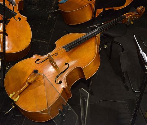 String Instruments Violin 的图像结果