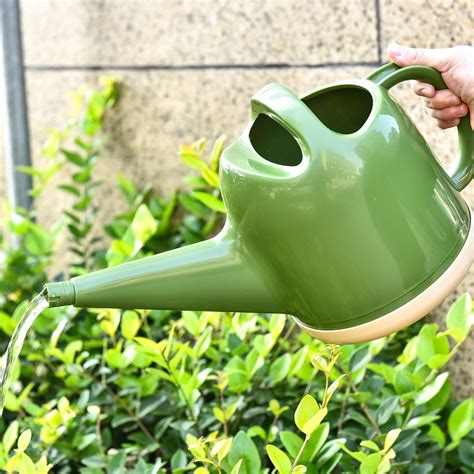 NOBONDO Watering Can Long Stem Spout 1 Gallon with India | Ubuy